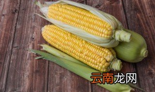 熟玉米过夜还可以吃吗，熟玉米过夜还可以吃吗有害吗