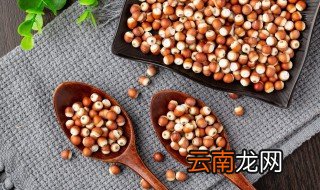 芡实大粒好还是小粒好 芡实大粒好不好