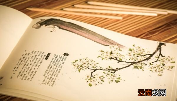 未知全貌,不予置评什么意思 未知全貌,不予置评怎么解释