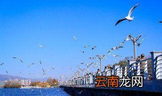 昆明是哪个省的城市 关于昆明的简介