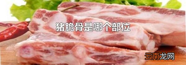 猪脆骨是哪个部位