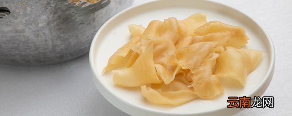 花胶是什么 花胶功效与作用