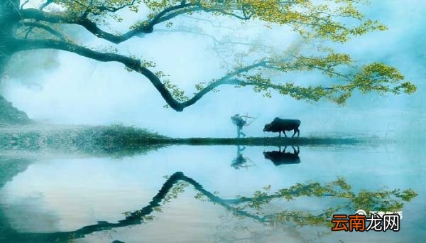 惠崇春江晚景中包含哲理的诗句是哪两句 惠崇春江晚景这首诗蕴含的哲理是什么