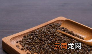 决明子怎么挑选 决明子如何挑选