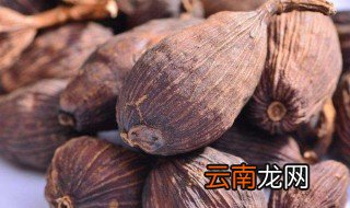 草果的保质期有多久 草果的保质期介绍