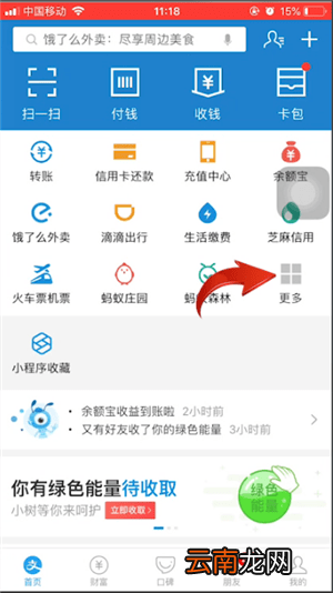 支付宝APP中将信用卡还款记录删除的具体操作步骤