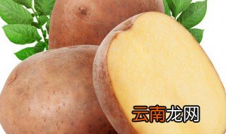 马铃薯过夜了还可以吃吗 马铃薯过夜还可以吃吗