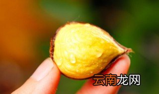 栗子汤过夜还可以吃吗 栗子汤可以隔夜吃吗
