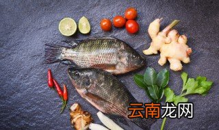 养鲫鱼怎么养才不死 鲫鱼养不活