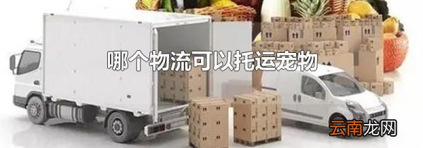 哪个物流可以托运宠物