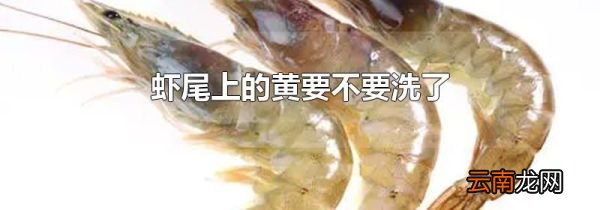 虾尾上的黄要不要洗了
