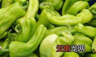 辨别青尖椒辣不辣的妙招 辨别青尖椒辣不辣的方法