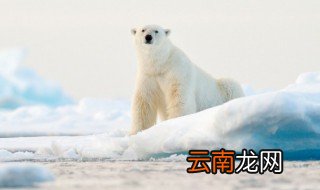数九过完就不冷了吗 数九过完是不是就不冷了