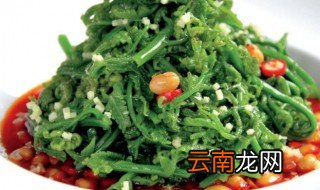 什么是水蕨菜 啥是水蕨菜