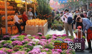 一什么花坛 一什么花坛填空