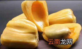 波罗密过夜还可以吃吗 波萝密晚上吃好吗