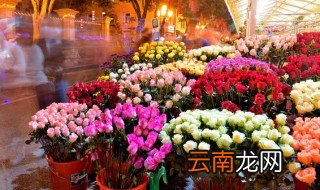 花儿像什么 花儿像什么示例