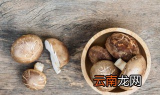 过夜的炖香菇汤还可以吃吗 炖汤的香菇过夜可以吃吗?