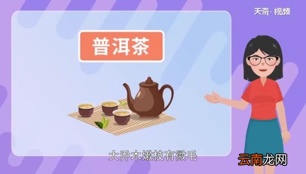 普洱茶的功效与作用禁忌 普洱茶的特点