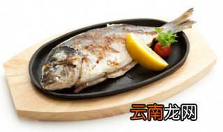 福寿鱼过夜还可以吃吗 福寿鱼可以隔夜吃吗
