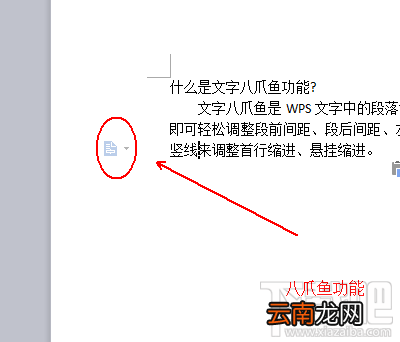 wps2016八爪鱼功能如何使用