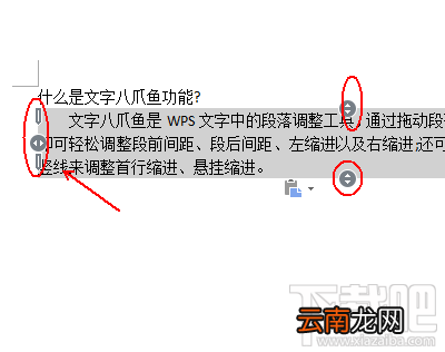 wps2016八爪鱼功能如何使用