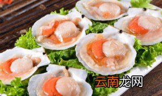 扇贝的黄可以吃吗 扇贝的黄是否可以吃