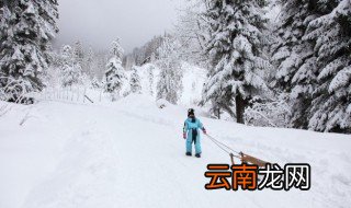 雪的寓意 雪有什么寓意