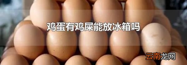 鸡蛋有鸡屎能放冰箱吗