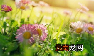 交春就是立春的意思吗 交春是不是立春的意思