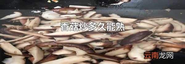 香菇炒多久能熟