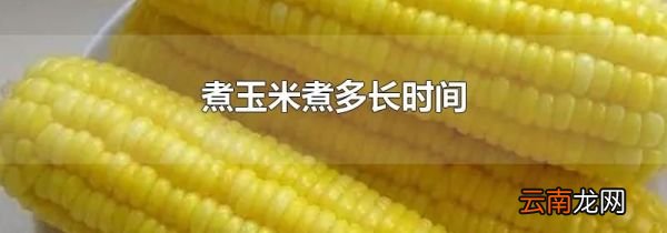煮玉米煮多长时间