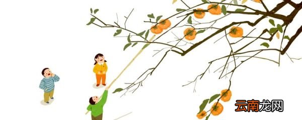 寒露是什么意思 寒露介绍