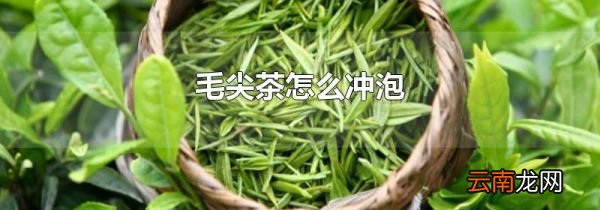 毛尖茶怎么冲泡