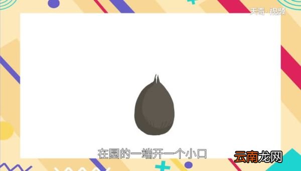碗莲的种植方法 碗莲怎么种植才正确