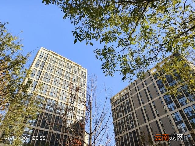 vivox90全方位测评 vivox90手机参数配置