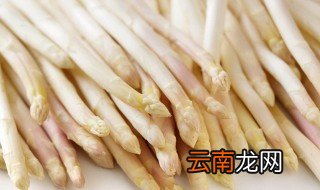 青芦笋和白芦笋有什么区别 青芦笋和白芦笋的不同之处