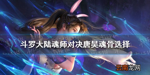 斗罗大陆魂师对决唐昊魂骨选择 斗罗大陆魂师对决唐昊魂骨推荐