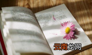 拈轻怕重造句 拈轻怕重怎么造句