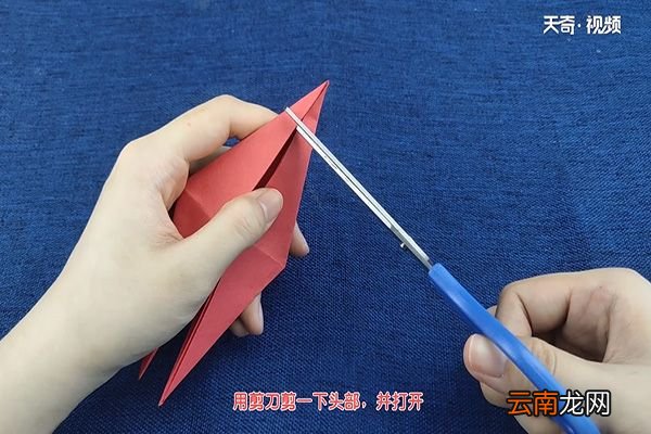 乌贼的折法
