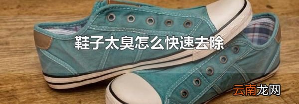 鞋子太臭怎么快速去除