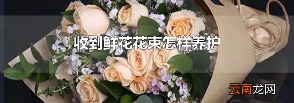 收到鲜花花束怎样养护