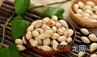 银杏怎样储存 怎样储存银杏