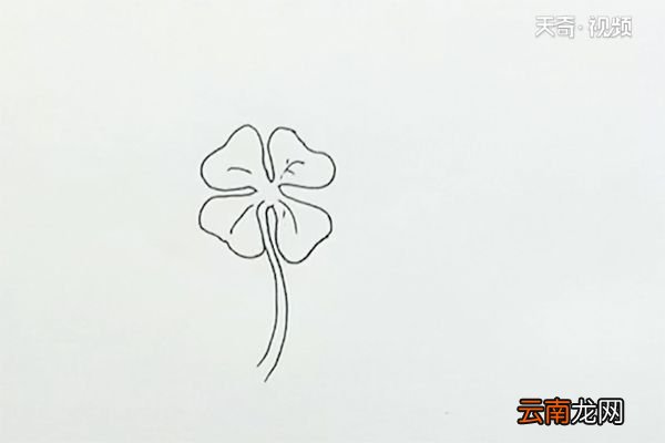 四叶草简笔画