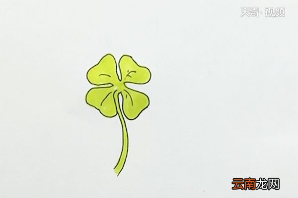 四叶草简笔画
