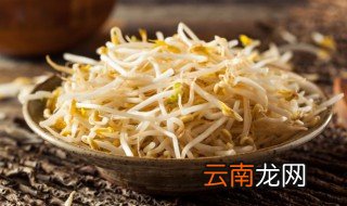 黄豆芽怎样储存 如何保存黄豆芽