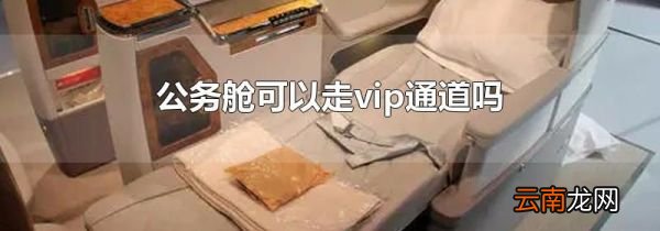 公务舱可以走vip通道吗