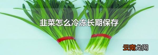 韭菜怎么冷冻长期保存