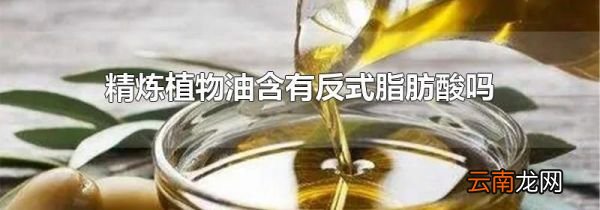精炼植物油含有反式脂肪酸吗