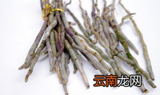 石斛怎么保存时间长 如何保存石斛